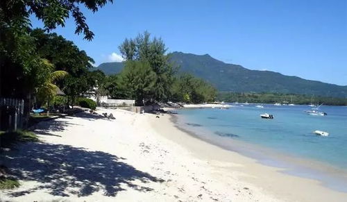 内陆沙滩种草，真的总白费吗？