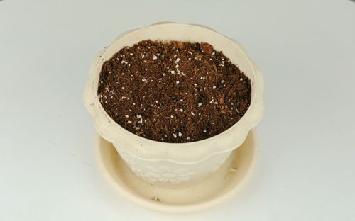 多菌灵水拌土的好处：土壤geng健康，花儿geng欢快