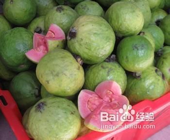 番石榴茶是一种以番石榴为原料，具有独特风味的茶饮