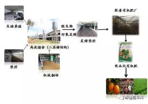 生态养猪模式创新重金属防控技术