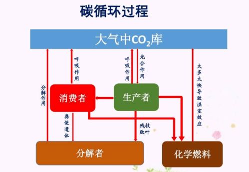 微生态制剂助力规模化养殖，提升效益与环保
