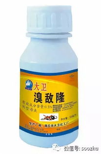 海南茶油苗——品质卓越，尽在掌握！