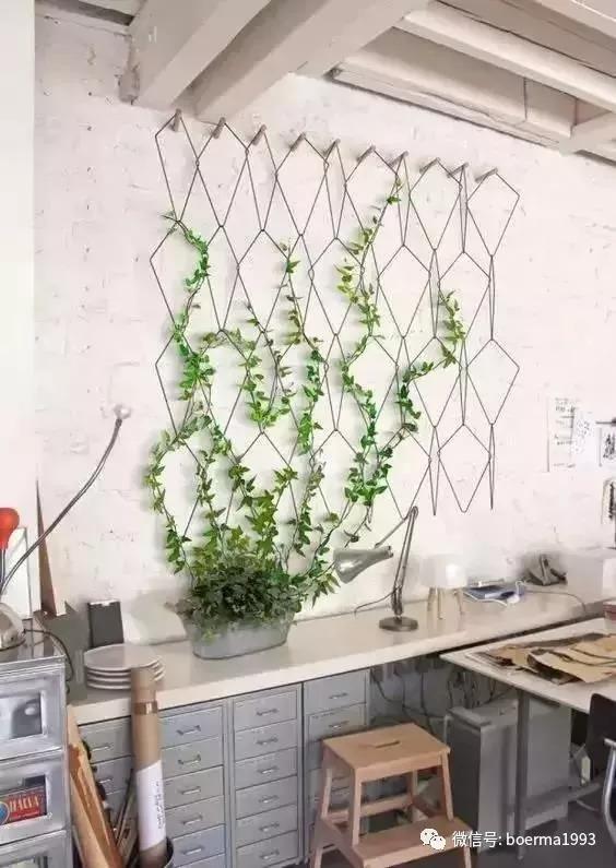 方寸间的自然诗篇