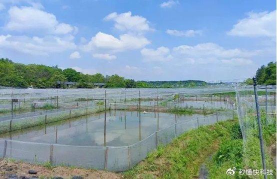 养殖场绿化，生态养殖新篇章