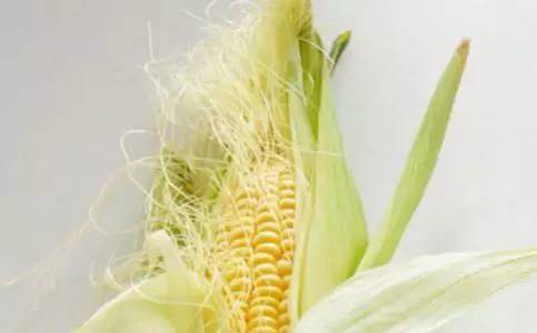 玉米须的处理