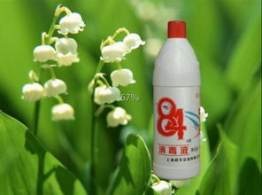 美洲商陆蛋白凝胶， 听起来挺神奇的