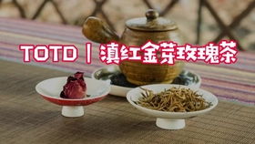 探秘滇红金芽（品味传统）中
