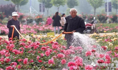 双创双建，美丽南阳