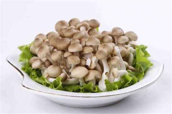 蟹味菇：营养geng佳