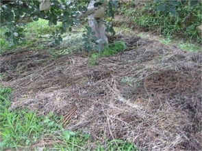 我自己咋想呢？