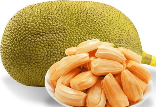 红肉菠萝蜜的成熟期是多久？如何判断它何时完全成熟呢
