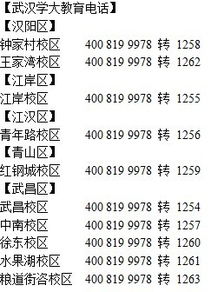 实力，那得堪项目