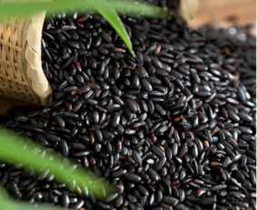 黑米高产技术规范：探讨黑米高产种植方法与技巧