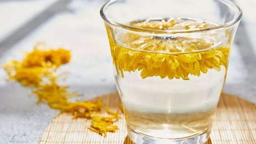 常饮菊花茶，身体会否变得更加健康