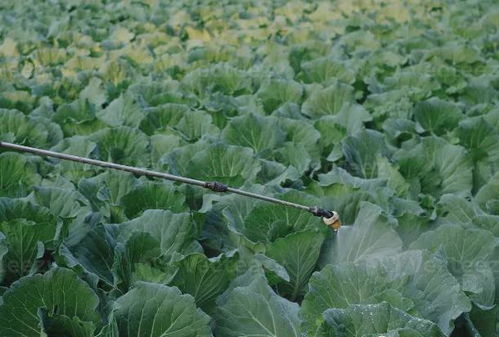 农药的额外作用