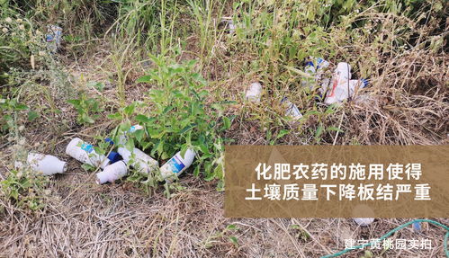 违法行为的后果