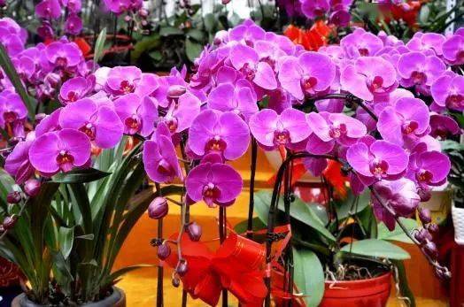 季节与时段的学问