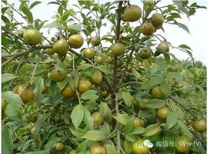 小心贪便宜吃大亏