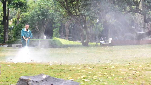 浇封冻水，给树根来个暖水袋