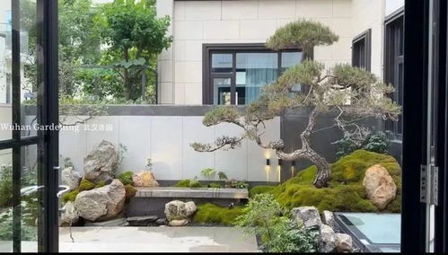 地形与水的交融：园林的灵动之魂