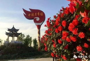 世界月季洲际大会， 决战决胜