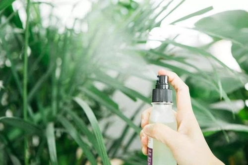 涂抹法的优势：生态效益显著提升