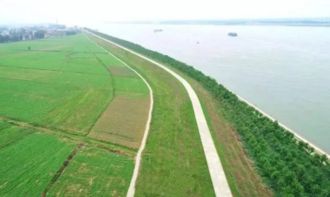 大堤上长的草，名字叫什么这个？