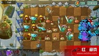 夏日铁甲球养护攻略，爆款花卉机甲必备