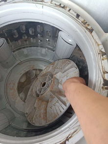 全自动洗衣机清洗妙招大揭秘！