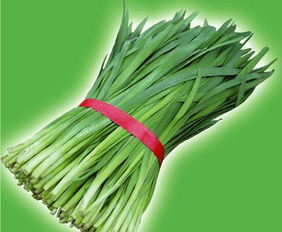 会不会伤到韭菜？这个问题hen重要