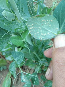 用药得讲究，不Neng乱来