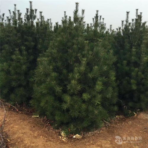 占地补偿标准，那可是有讲究的