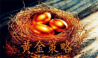 黄金梅叶合之谜，揭秘黄金梅叶合技巧