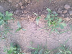 性价比高不高？我来给大家分析分析