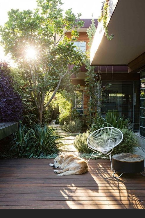 春意盎然 生机勃勃