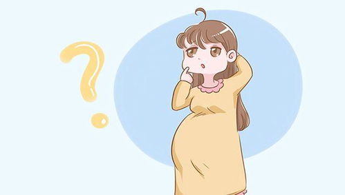 如何避免孕检误区，新手也Neng零失误排查母猪妊娠？