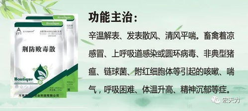 广东湛江的养殖户陈老板的烦恼