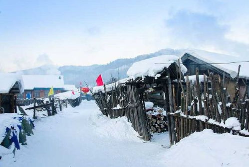 东北春天 冻土中的生命奇迹