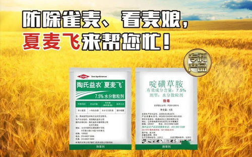 大剂量、 高频次、不科学的农药使用