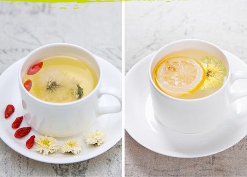 菊花茶不能和什么茶一起喝？小心这些饮茶禁忌