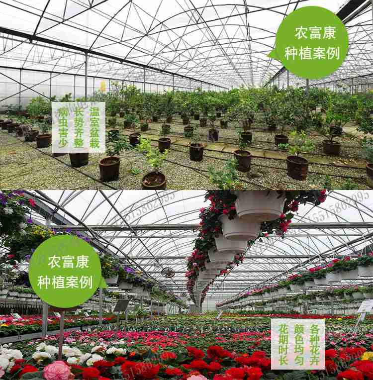 EM菌液：唤醒花草树木的自然生机