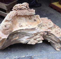 偶然的发现，奇特的开始