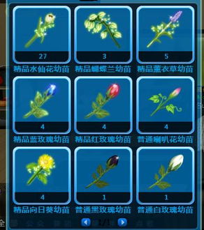 炫舞花园里的花朵用途大揭秘