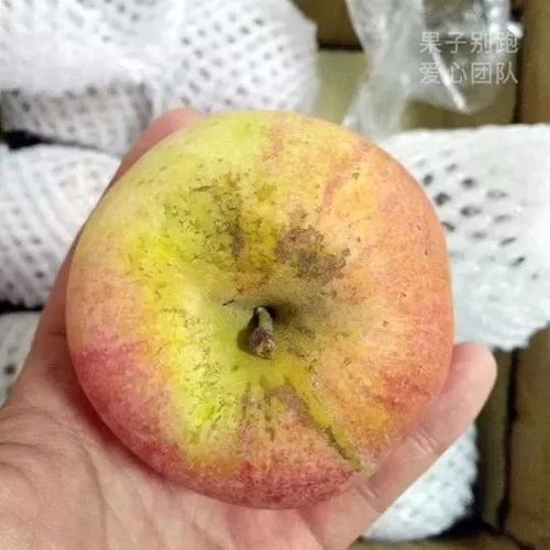 不甜的水果是指口感不带有明显甜味的果实