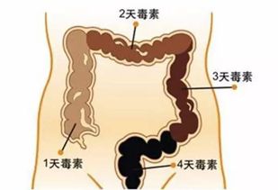 如何确保平安使用细菌内毒素检查用水？