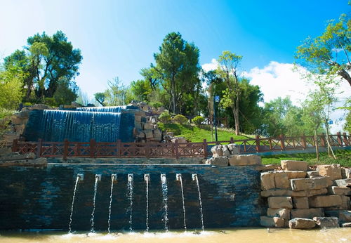 景观竖向设计图， 展现景观空间布局