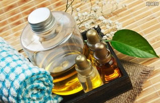 茶树油价格一览：一斤茶油仔多少钱？