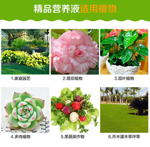 复合肥：营养均衡， 石榴树的健康保障