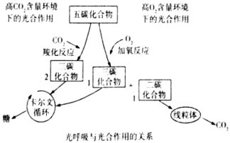 低碳的定义：不仅仅是低排放