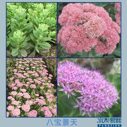 三步快速成景法则